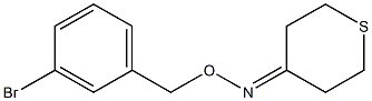 tetrahydro-4H-thiopyran-4-one O-(3-bromobenzyl)oxime Structure