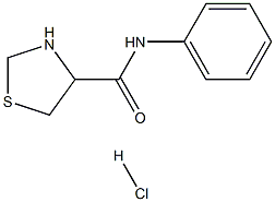 N-phenyl-1,3-thiazolidine-4-carboxamide hydrochloride Structure