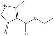 ethyl 2-methyl-4-oxo-4,5-dihydro-1H-pyrrole-3-carboxylate,,结构式