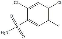 2,4-dichloro-5-methylbenzene-1-sulfonamide Structure