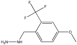 1-(2-(trifluoromethyl)-4-methoxybenzyl)hydrazine