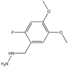 1-(2-fluoro-4,5-dimethoxybenzyl)hydrazine Struktur