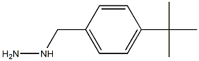 1-(4-tert-butylbenzyl)hydrazine