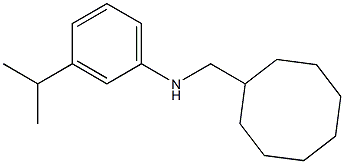 N-(cyclooctylmethyl)-3-isopropylbenzenamine Structure