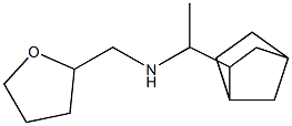 (1-{bicyclo[2.2.1]heptan-2-yl}ethyl)(oxolan-2-ylmethyl)amine