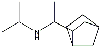 (1-{bicyclo[2.2.1]heptan-2-yl}ethyl)(propan-2-yl)amine,,结构式