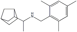 (1-{bicyclo[2.2.1]heptan-2-yl}ethyl)[(2,4,6-trimethylphenyl)methyl]amine Structure