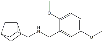 (1-{bicyclo[2.2.1]heptan-2-yl}ethyl)[(2,5-dimethoxyphenyl)methyl]amine|