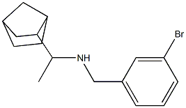 (1-{bicyclo[2.2.1]heptan-2-yl}ethyl)[(3-bromophenyl)methyl]amine Struktur