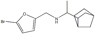(1-{bicyclo[2.2.1]heptan-2-yl}ethyl)[(5-bromofuran-2-yl)methyl]amine