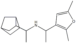 (1-{bicyclo[2.2.1]heptan-2-yl}ethyl)[1-(2,5-dimethylfuran-3-yl)ethyl]amine|