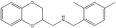 (2,3-dihydro-1,4-benzodioxin-2-ylmethyl)[(2,4-dimethylphenyl)methyl]amine Structure