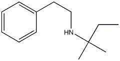 (2-methylbutan-2-yl)(2-phenylethyl)amine Structure
