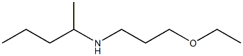 (3-ethoxypropyl)(pentan-2-yl)amine Structure