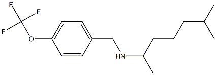 (6-methylheptan-2-yl)({[4-(trifluoromethoxy)phenyl]methyl})amine,,结构式