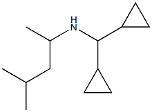 (dicyclopropylmethyl)(4-methylpentan-2-yl)amine 结构式