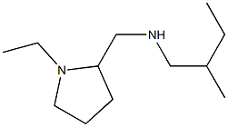 [(1-ethylpyrrolidin-2-yl)methyl](2-methylbutyl)amine,,结构式