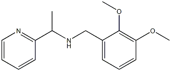 [(2,3-dimethoxyphenyl)methyl][1-(pyridin-2-yl)ethyl]amine