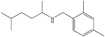 [(2,4-dimethylphenyl)methyl](5-methylhexan-2-yl)amine|