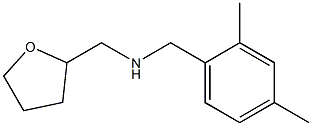 [(2,4-dimethylphenyl)methyl](oxolan-2-ylmethyl)amine 化学構造式