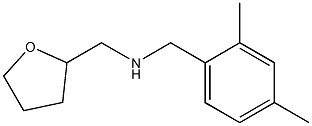 [(2,4-dimethylphenyl)methyl](oxolan-2-ylmethyl)amine