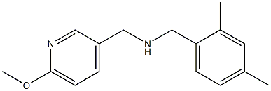 [(2,4-dimethylphenyl)methyl][(6-methoxypyridin-3-yl)methyl]amine Struktur