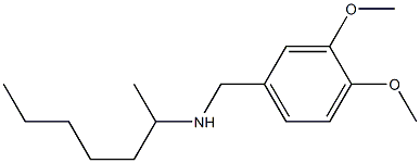 [(3,4-dimethoxyphenyl)methyl](heptan-2-yl)amine