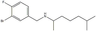 [(3-bromo-4-fluorophenyl)methyl](6-methylheptan-2-yl)amine,,结构式