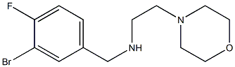  [(3-bromo-4-fluorophenyl)methyl][2-(morpholin-4-yl)ethyl]amine