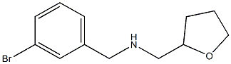 [(3-bromophenyl)methyl](oxolan-2-ylmethyl)amine 结构式