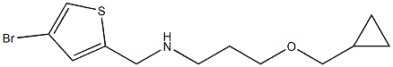 [(4-bromothiophen-2-yl)methyl][3-(cyclopropylmethoxy)propyl]amine Structure