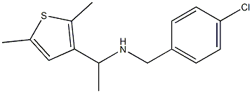 [(4-chlorophenyl)methyl][1-(2,5-dimethylthiophen-3-yl)ethyl]amine Struktur