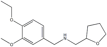 [(4-ethoxy-3-methoxyphenyl)methyl](oxolan-2-ylmethyl)amine Structure