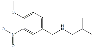 [(4-methoxy-3-nitrophenyl)methyl](2-methylpropyl)amine 结构式