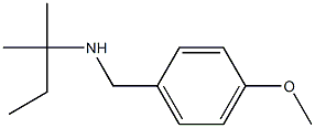 [(4-methoxyphenyl)methyl](2-methylbutan-2-yl)amine Structure