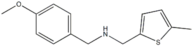 [(4-methoxyphenyl)methyl][(5-methylthiophen-2-yl)methyl]amine Structure