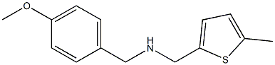 [(4-methoxyphenyl)methyl][(5-methylthiophen-2-yl)methyl]amine 结构式