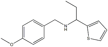 [(4-methoxyphenyl)methyl][1-(thiophen-2-yl)propyl]amine|