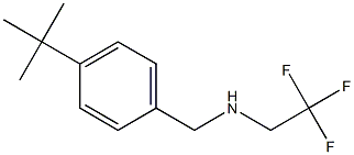  [(4-tert-butylphenyl)methyl](2,2,2-trifluoroethyl)amine