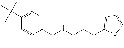[(4-tert-butylphenyl)methyl][4-(furan-2-yl)butan-2-yl]amine,,结构式