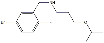 [(5-bromo-2-fluorophenyl)methyl][3-(propan-2-yloxy)propyl]amine 结构式