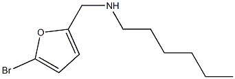 [(5-bromofuran-2-yl)methyl](hexyl)amine 化学構造式