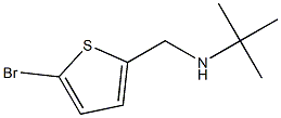 [(5-bromothiophen-2-yl)methyl](tert-butyl)amine 化学構造式