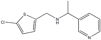  [(5-chlorothiophen-2-yl)methyl][1-(pyridin-3-yl)ethyl]amine
