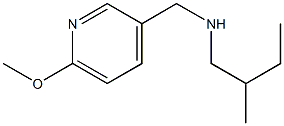 [(6-methoxypyridin-3-yl)methyl](2-methylbutyl)amine 结构式