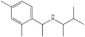 [1-(2,4-dimethylphenyl)ethyl](3-methylbutan-2-yl)amine Structure