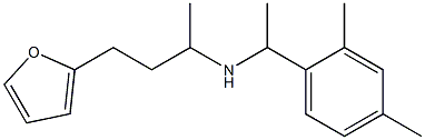 [1-(2,4-dimethylphenyl)ethyl][4-(furan-2-yl)butan-2-yl]amine,,结构式