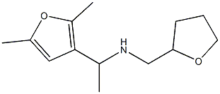 [1-(2,5-dimethylfuran-3-yl)ethyl](oxolan-2-ylmethyl)amine 化学構造式