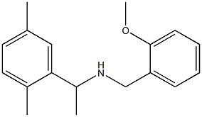 [1-(2,5-dimethylphenyl)ethyl][(2-methoxyphenyl)methyl]amine