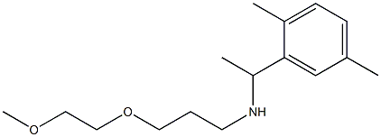 [1-(2,5-dimethylphenyl)ethyl][3-(2-methoxyethoxy)propyl]amine|